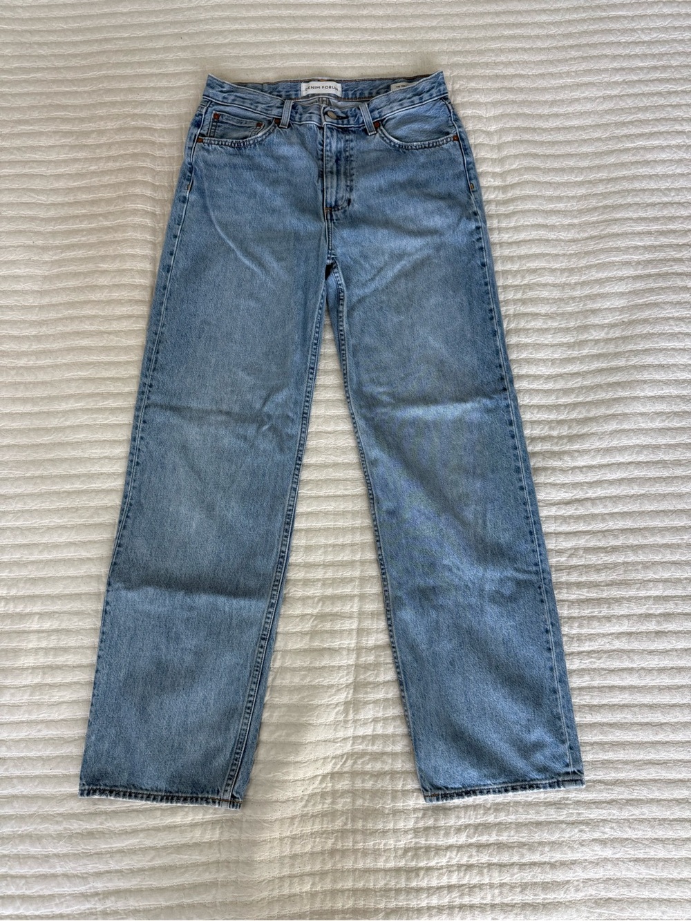 Aritzia Denim Forum The ‘90s Iggy Lo-Rise Baggy Jean